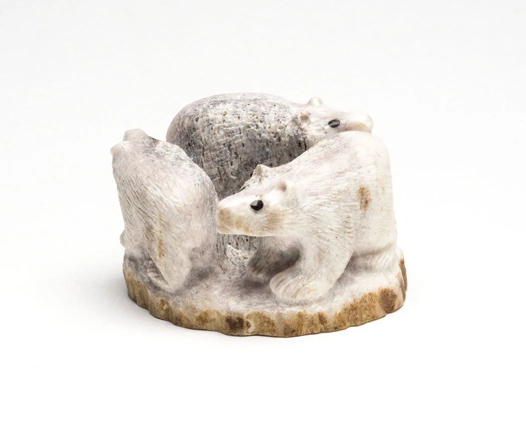 Polar Bear Alliance